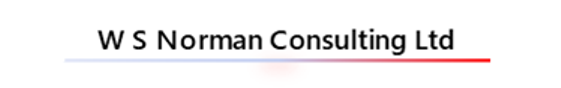 WSN Logo
